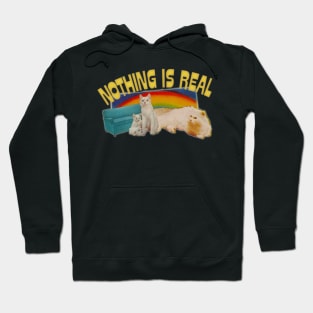 Nothing Is Real // Nihilist Rainbow Cats Design Hoodie